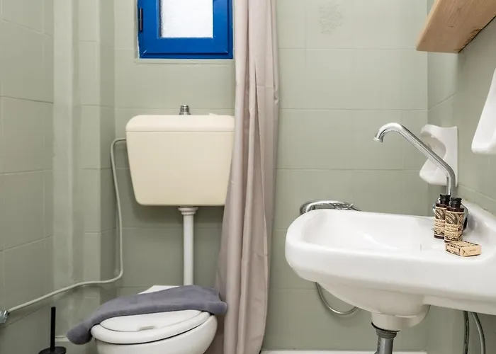 Hippocampus 2 Min Walk From The